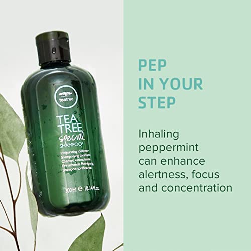 Tea Tree Special Shampoo, Deep Cleans, Refreshes Scalp, For All Hair Types, Especially Oily Hair, 10.14 fl. oz.