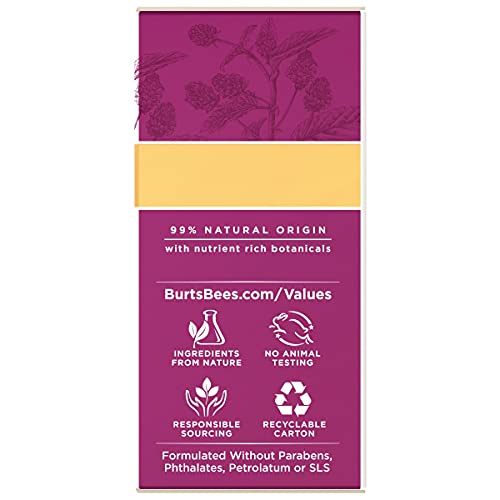 Burts Bees Eye Cream, Retinol Alternative Moisturizer, Anti-Aging, Renewal Firming Face Care, 0.5 Ounce (Packaging May Vary)