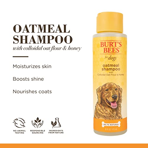 Burts Bees for Pets Oatmeal Dog Shampoo | With Colloidal Oat Flour & Honey | Moisturizing & Nourishing, Cruelty Free, Sulfate & Paraben Free, pH Balanced for Dogs - Made in USA, 16 Oz