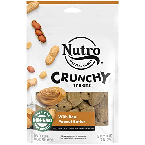 NUTRO Crunchy Dog Treats with Real Peanut Butter, 16 oz. Bag