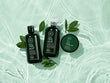 Paul Mitchell Tea Tree Special Conditioner for Unisex