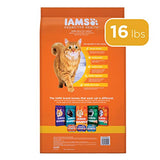 IAMS PROACTIVE HEALTH Adult Healthy Dry Cat Food with Salmon Cat Kibble, 16 lb. Bag