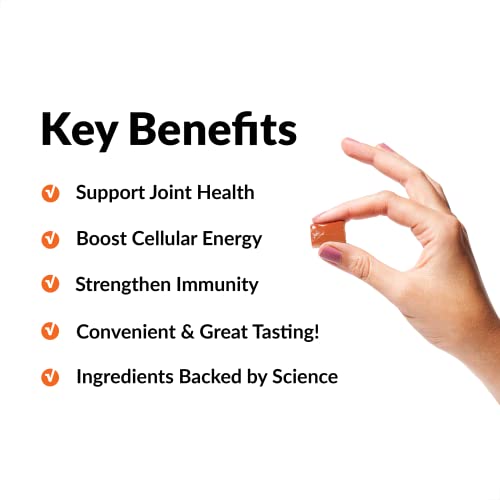 Force Factor Better Turmeric Joint Support Supplement for Extra Strength Joint Health, Featuring HydroCurc Turmeric Curcumin with Black Pepper for Superior Absorption, Fruit Splash, 60 Soft Chews