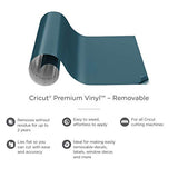 Cricut Premium Vinyl Removable for All Cricut Cutting Machines, No Residue Vinyl for DIY Crafts, Wall Decals, Stickers, In-House Decor and More, Lipstick