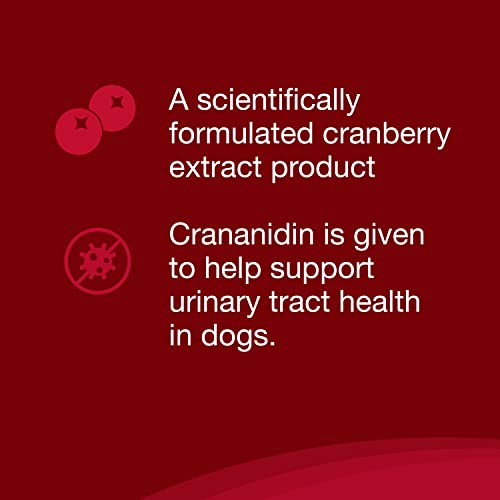 Nutramax Crananidin Cranberry Extract Urinary Tract Health Supplement for Dogs, 75 Chewable Tablets