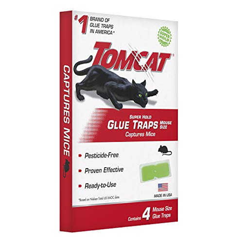 Tomcat Super Hold Glue Traps Mouse Size, Contains 4 Traps - Captures Mice - Also Used for Cockroaches, Scorpions, Spiders and Many Other Pests