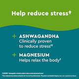 Nature Made Wellblends Calm & Relax, Ashwagandha 125 mg, Magnesium 300 mg, 54 Vegetarian Capsules