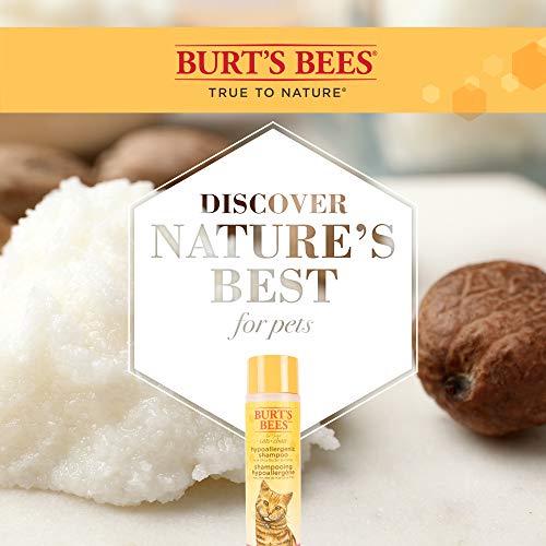 Burts Bees for Pets Cat Hypoallergenic Cat Shampoo with Shea Butter & Honey | Best Shampoo for Cats with Dry or Sensitive Skin | Cruelty Free, Sulfate & Paraben Free, pH Balanced for Cats - 10oz