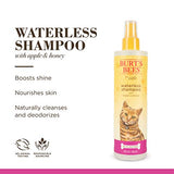 Burts Bees for Pets Cat Natural Waterless Shampoo with Apple and Honey | Cat Waterless Shampoo Spray | Easy to Use Cat Dry Shampoo for Fresh Skin and Fur Without a Bath | Made in the USA, 10 Oz