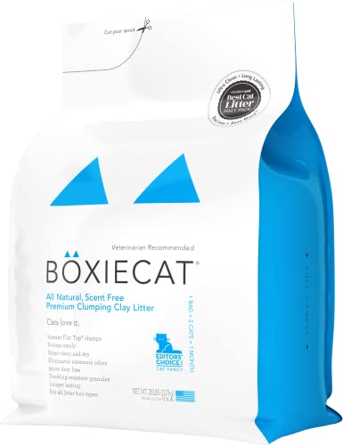 Boxiecat Premium Clumping Clay Cat Litter, Scent Free, 40lbs - Longer Lasting Odor Control - Hard, Non Stick Clumps - Stays Ultra Clean - 99.9% Dust Free