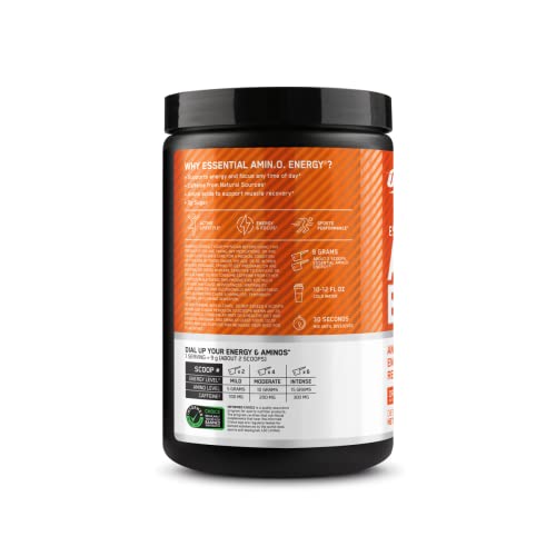 Optimum Nutrition Amino Energy - Pre Workout with Green Tea, BCAA, Amino Acids, Keto Friendly, Green Coffee Extract, Energy Powder - Blueberry Lemonade, 30 Servings (Packaging May Vary)