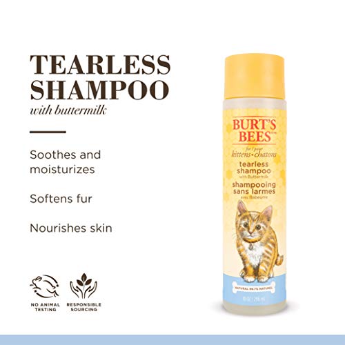 Burts Bees for Kittens Natural Tearless Shampoo with Buttermilk, 10 Oz - Cat Grooming And Bath Supplies, Kitty Shampoo, Pet Shampoo