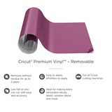 Cricut Premium Vinyl Removable for All Cricut Cutting Machines, No Residue Vinyl for DIY Crafts, Wall Decals, Stickers, In-House Decor and More, Lipstick