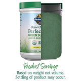 Garden of Life Raw Organic Perfect Food Green Superfood Juiced Greens Powder - Original Stevia-Free, 30 Servings, Non-GMO, Gluten Free Whole Food Dietary Supplement, Alkalize, Detoxify, Energize