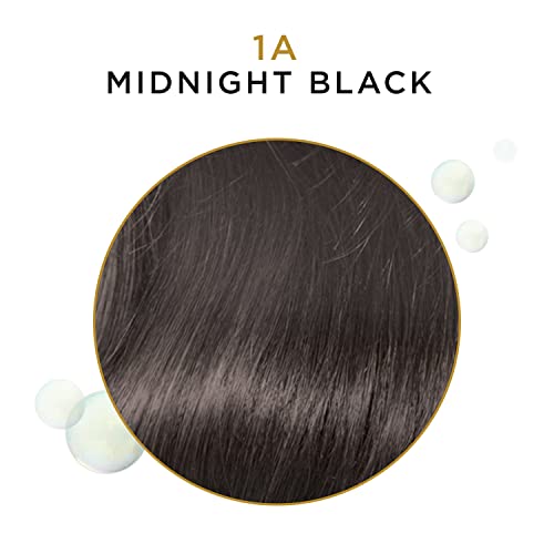 Clairol Professional Beautiful Advanced Gray Solutions 2a Rich Dark Brown, 3 oz