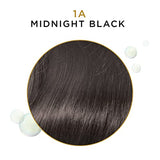 Clairol Professional Beautiful Advanced Gray Solutions 2a Rich Dark Brown, 3 oz