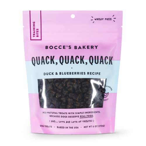 Bocce's Bakery All-Natural, Seasonal, Strawberries are Red Dog Treats, Wheat-Free, Limited-Ingredient Crunchy Biscuits Inspired by Valentine's Day, 5 oz Bag