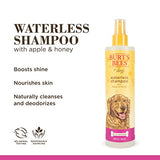 Burts Bees for Pets Natural Waterless Dog Shampoo Spray with Apple and Honey, Dry Shampoo for Dogs and Puppies, For Large and Smelly Dogs, Sulfate & Paraben Free, pH Balanced, Made in USA - 10 Oz