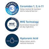 CeraVe Daily Moisturizing Lotion for Dry Skin | Body Lotion & Facial Moisturizer with Hyaluronic Acid and Ceramides | 12 Fl Ounce