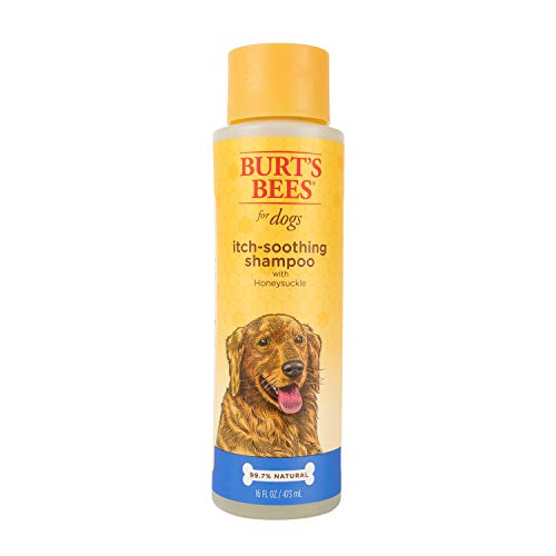 Burt's Bees for Pets Natural Itch Soothing Spray with Honeysuckle | Best Anti-Itch Spray for Dogs With Itchy Skin | Cruelty Free, Sulfate & Paraben Free - Made in the USA, 10 Oz