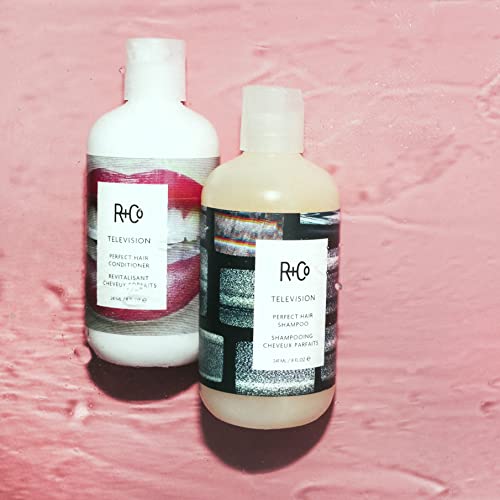 R+Co Television Perfect Hair Shampoo | Body + Shine + Smoothing for All Hair Types | Vegan + Cruelty-Free | 8.5 Oz