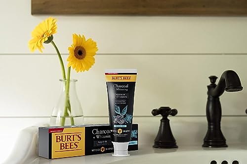 Burt’s Bees Toothpaste, Natural Flavor, Charcoal with Fluoride Toothpaste, Mountain Mint, 3 x 4.7oz