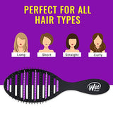 Wet Brush, Refresh and Extend Speed Dry Hair Black Detangling For All Hair Types – Removes Dirt Excess Oils and Impurities Charcoal Infused Bristles