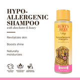 Burts Bees Natural Hypoallergenic Shampoo with Shea Butter and Honey for All Dogs and Puppies with Dry or Sensitive Skin | Made in the USA | 16 Ounces