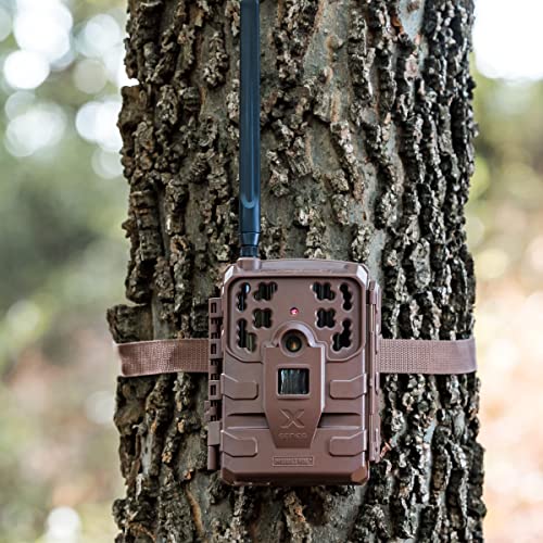 Moultrie Mobile Delta Base Cellular Trail Camera - 24MP Resolution Photos & Videos with Sound | .75s Trigger Speed & 36 invisible IR LEDs | Game Cam for Hunting with App Control | Verizon Nationwide