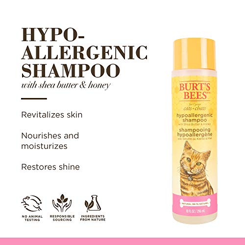 Burts Bees for Pets Cat Hypoallergenic Cat Shampoo with Shea Butter & Honey | Best Shampoo for Cats with Dry or Sensitive Skin | Cruelty Free, Sulfate & Paraben Free, pH Balanced for Cats - 10oz