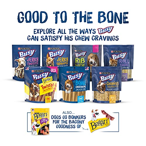 PURINA Busy Busy With Beggin' Made in USA Facilities Small/Medium Breed Dog Treats, Twist'd - 10 ct. Pouch