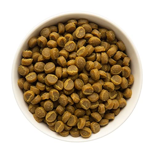 Zuke’s Mini Naturals Soft Dog Treats for Training, Soft and Chewy Dog Training Treats with Salmon Recipe