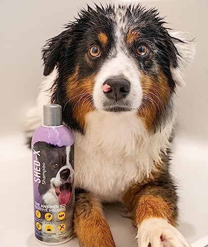 Shed-X Shed Control Shampoo for Dogs, 16 oz – Reduce Shedding – Shampoo Infuses Skin and Coat with Vitamins and Antioxidants to Clean, Release Excess Hair, and Exfoliate