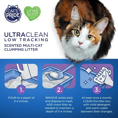 Cats Pride Max Power UltraClean Low Tracking Multi-Cat Clumping Litter - Keeps Paws & Home Clean - Up to 10 Days of Powerful Odor Control - 99% Dust Free - Fresh Scent, 15 Pounds