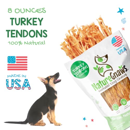 Nature Gnaws USA Turkey Tendons for Dogs - Premium Natural Chew Treats - Delicious Reward Snack for Small Medium & Large Dogs - Made in The USA 4 oz Bag