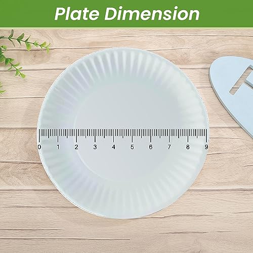 Perfect Stix Paper Plate by Kitchen Essentials, 9 (Pack of 300)