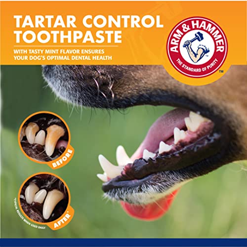 Arm & Hammer for Pets Dog Dental Care Fresh Breath Kit | Includes Arm & Hammer Baking Soda Dog Toothpaste and Dog Toothbrush | Dog Plaque Removal Kit, Mint