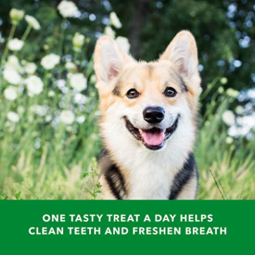 Amazon Brand - Wag Dental Dog Treats to Help Clean Teeth & Freshen Breath - Medium, Unflavored, 36 Count (Pack of 1)