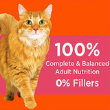 IAMS PROACTIVE HEALTH Adult Healthy Dry Cat Food with Salmon Cat Kibble, 16 lb. Bag