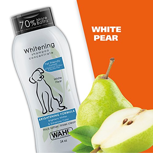 Wahl Whitening Shampoo White Pear scent for Pets – Whitening & Animal Odor Control with Silky Smooth Results for Grooming Dirty Dogs – 24 oz - Model 820001A