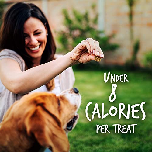 Fruitables Crunchy Baked Low Calorie Training Treats for Dogs | Crispy Bacon Apple Flavor | 7 Ounces (2386)