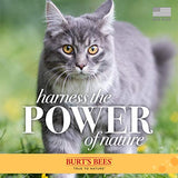 Burts Bees for Pets Cat Natural Waterless Shampoo with Apple and Honey | Cat Waterless Shampoo Spray | Easy to Use Cat Dry Shampoo for Fresh Skin and Fur Without a Bath | Made in the USA, 10 Oz