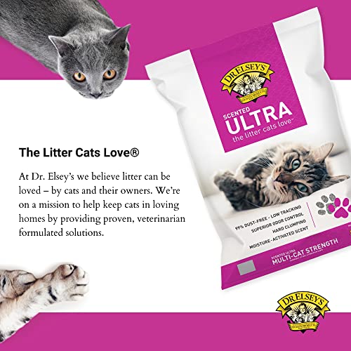 Precious Cat Elseys Ultra Scented Cat Litter,18 Lb/8.16 Kg (Pack May Vary) Clay