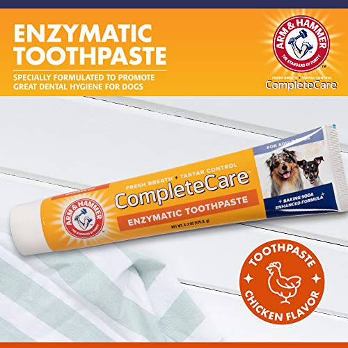 Arm & Hammer Complete Care Enzymatic Toothpaste for Puppies, Adult Dogs, Pet, Dog Dental Care and Clean Teeth, 6.2 oz