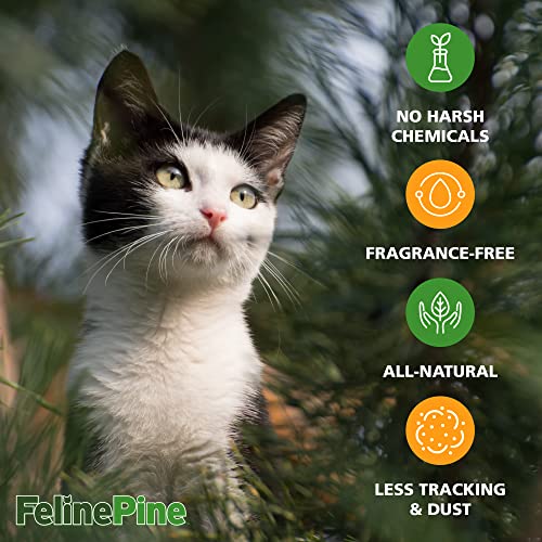 Feline Pine Platinum Non-Clumping Cat Litter 18lb.