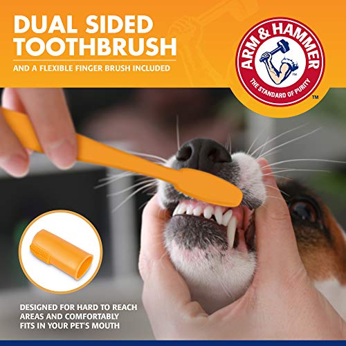 Arm & Hammer for Pets Tartar Control Kit for Dogs | Contains Toothpaste, Toothbrush & Fingerbrush | Reduces Plaque & Tartar Buildup, 3-Piece Kit, Banana Mint Flavor