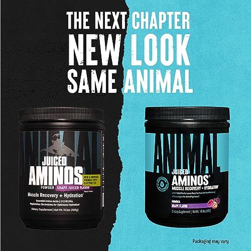 Animal Juiced Aminos - 6g BCAA/EAA Matrix plus 4g Amino Acid Blend for Recovery and Improved Performance - Orange - 30 Servings, 13.3 Ounce