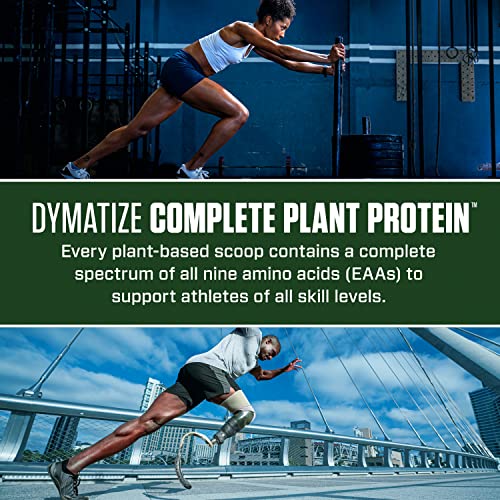 Dymatize Vegan Plant Protein, Smooth Vanilla, 25g Protein, 4.8g BCAAs, Complete Amino Acid Profile, 15 Servings