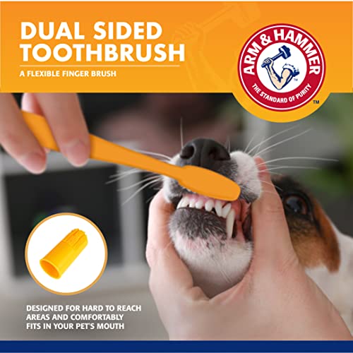 Arm & Hammer for Pets Dog Dental Care Fresh Breath Kit | Includes Arm & Hammer Baking Soda Dog Toothpaste and Dog Toothbrush | Dog Plaque Removal Kit, Mint