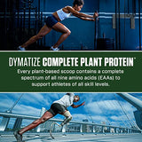 Dymatize Vegan Plant Protein, Smooth Vanilla, 25g Protein, 4.8g BCAAs, Complete Amino Acid Profile, 15 Servings